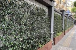 赤峰市新城花墻社區(qū)電話號碼