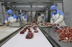 赤峰肉牛屠宰加工廠電話號(hào)碼