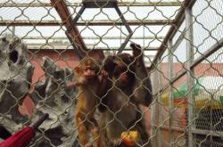 赤峰紅山動(dòng)物園電話(huà)號(hào)碼