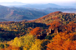 赤峰松山區(qū)代駕電話