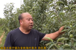 赤峰蔬菜批發(fā)市場電話號碼