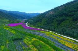 沈陽(yáng)到赤峰虎躍訂票電話(huà)是多少