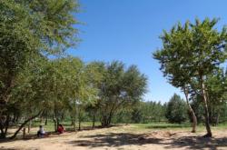 赤峰橋北修手機電話號碼