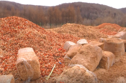 赤峰回收乳化瀝青電話地址查詢