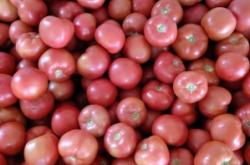 赤峰寧城海燕飯店電話多少號(hào)