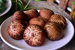 赤峰雷營子野菜館電話號碼