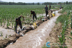 赤峰送水團購網(wǎng)電話號碼查詢