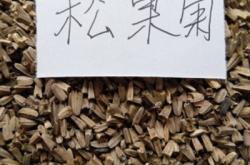 赤峰收苗木種子電話號(hào)碼是多少