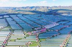 赤峰公主嶺養(yǎng)老院電話號(hào)碼