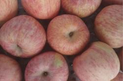 赤峰水榭花都桶裝水電話號碼