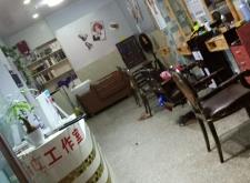 赤峰新概念理發(fā)店電話號碼