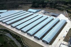 赤峰軍威養(yǎng)牛場地址電話號碼