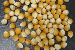 內(nèi)蒙古赤峰玉米銷售電話號(hào)碼