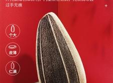 赤峰市黑臉瓜子店電話號碼