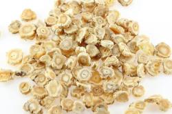 赤峰干貨加工廠電話地址查詢