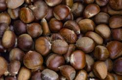 赤峰栗子批發(fā)超市地址電話號碼