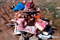 赤峰豬肉檢疫站地址電話號碼