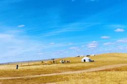 赤峰市收毛驢電話是多少號(hào)