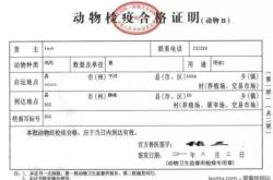 赤峰寵物托運(yùn)飛機(jī)電話號(hào)碼