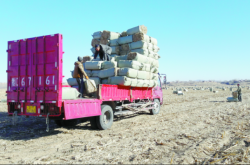 內(nèi)蒙赤峰飼料店電話號碼查詢