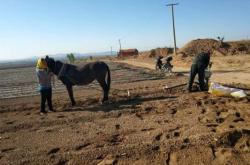 赤峰乃林鎮(zhèn)足療店電話號(hào)碼