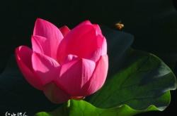 赤峰菲琳攝影店地址電話號(hào)碼