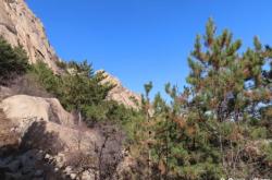 赤峰寧城跆拳道館電話號(hào)碼