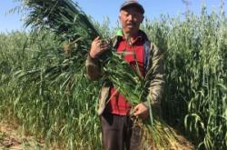 內(nèi)蒙赤峰助農(nóng)電話號碼查詢