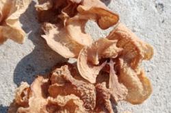 赤峰批發(fā)羊肚電話號(hào)碼多少