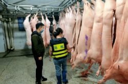 赤峰毛豬屠宰場(chǎng)電話號(hào)碼