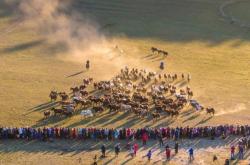 赤峰雙通駕校電話號碼查詢