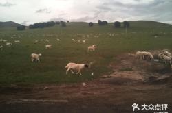 赤峰騎馬團(tuán)購(gòu)附近店鋪電話號(hào)碼