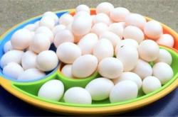 赤峰賣鴿子蛋電話地址查詢號碼