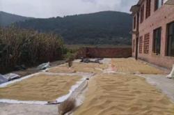 赤峰賣麩皮的地方電話地址查詢