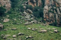 赤峰大偉飼料廠電話號(hào)碼