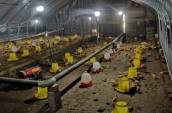 赤峰大棚種植養(yǎng)殖基地電話號(hào)碼