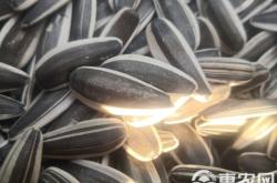 赤峰瓜子晾曬機(jī)廠家電話號(hào)碼