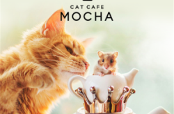 赤峰貓咪咖啡廳地址電話號碼