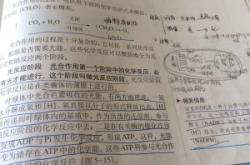 赤峰紅旗中學(xué)圖書(shū)館電話號(hào)碼