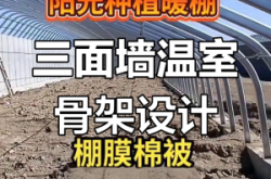 赤峰半坡式大棚廠家電話號(hào)碼