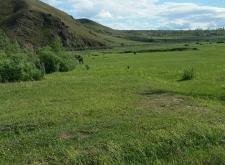 赤峰養(yǎng)狼姑娘直播間電話號(hào)碼