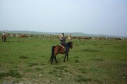 赤峰到沽源公交車電話號(hào)碼是多少