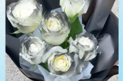 赤峰鮮花黑騎士玫瑰店電話號(hào)碼