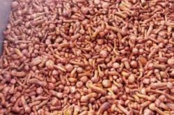 赤峰賣野蘑菇的地方電話號碼