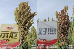 赤峰薈祥農(nóng)資電話號碼查詢