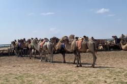赤峰奧亞飼料部電話地址查詢