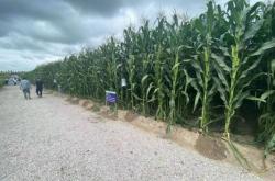 赤峰市林東糧油廠電話號(hào)碼