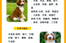 赤峰求購巨貴狗狗電話號碼