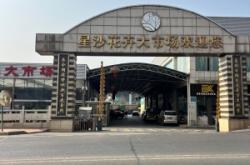 赤峰綠植批發(fā)市場