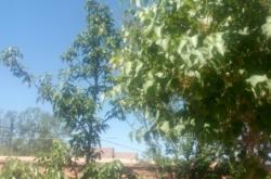 赤峰寧城柔式按摩電話地址查詢